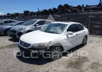 2014 Honda Accord photo