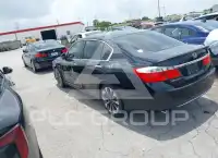 2014 Honda Accord photo