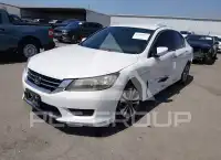 2014 Honda Accord photo