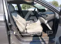 2014 Honda Accord photo
