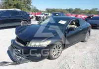 2014 Honda Accord фото