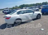 2014 Honda Accord photo