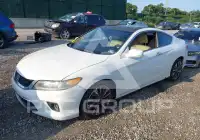 2014 Honda Accord photo