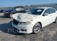 2014 Honda Accord photo