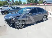 2014 Honda Accord фото