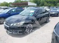 2014 Honda Accord photo