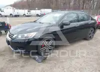2014 Honda Accord photo