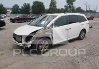 2014 Honda ODYSSEY фото
