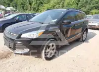 2014 Ford ESCAPE photo