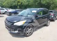 2014 Ford ESCAPE photo