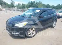 2014 Ford ESCAPE photo