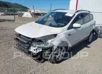 2014 Ford ESCAPE фото