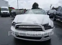 2014 Ford MUSTANG фото