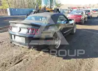 2014 Ford MUSTANG photo