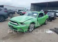 2014 Ford MUSTANG photo