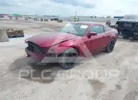 2014 Ford MUSTANG photo