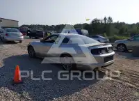 2014 Ford MUSTANG фото
