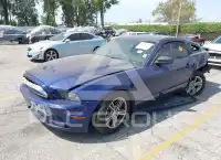 2014 Ford MUSTANG photo