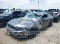 2014 Ford MUSTANG фото