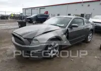 2014 Ford MUSTANG фото
