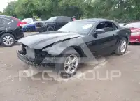 2014 Ford MUSTANG фото
