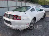 2014 Ford MUSTANG photo
