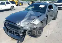 2014 Ford MUSTANG photo