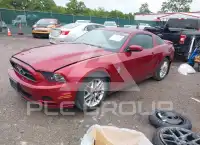 2014 Ford MUSTANG фото