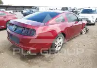 2014 Ford MUSTANG фото