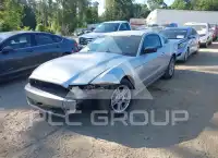 2014 Ford MUSTANG фото