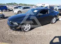 2014 Ford MUSTANG photo