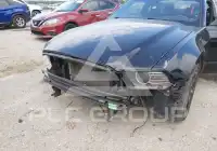 2014 Ford MUSTANG фото