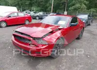 2014 Ford MUSTANG фото