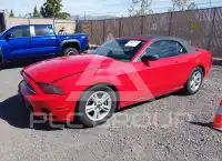 2014 Ford MUSTANG photo