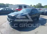 2014 Ford MUSTANG фото