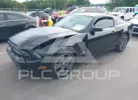 2014 Ford MUSTANG фото