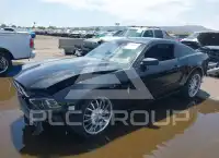 2014 Ford MUSTANG фото
