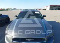 2014 Ford MUSTANG photo