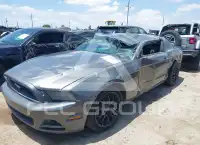 2014 Ford MUSTANG фото