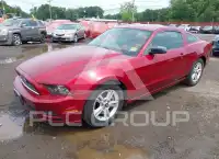 2014 Ford MUSTANG фото