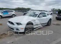 2014 Ford MUSTANG фото