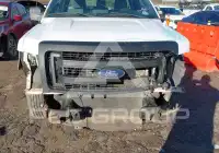 2014 Ford F-150 фото