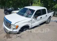 2014 Ford F-150 photo