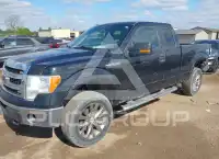 2014 Ford F-150 photo