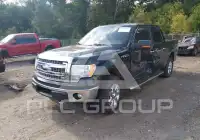 2014 Ford F-150 фото
