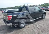 2014 Ford F-150 фото