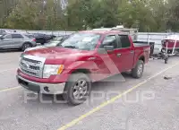 2014 Ford F-150 фото