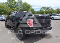 2014 Ford F-150 photo