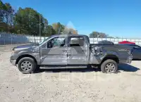 2014 Ford F-150 photo