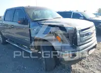 2014 Ford F-150 фото